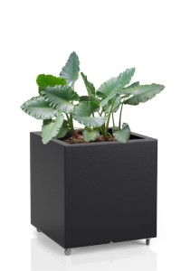 Kwadratowa donica na kółkach Monumo Pixel Pot czarna H:50