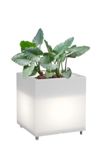 Kwadratowa donica na kółkach podświetlana Monumo Pixel Pot Light barwa zimna H:50