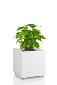 Kwadratowa donica na kółkach Monumo Pixel Pot biała H:40