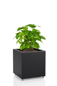 Kwadratowa Donica na kółkach Monumo Pixel Pot czarna H:40