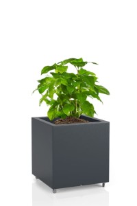 Kwadratowa donica na kółkach Monumo Pixel Pot antracyt  H:40