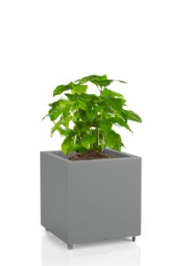 Kwadratowa donica na kółkach Monumo Pixel Pot szara  H:40