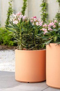 Okrągła Duża donica Monumo Cavo  brzoskwiniowa Peach Fuzz z wyjmowanym wkładem  H:40