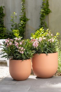 Zestaw 2 Dużych Okrągłych donic Monumo Primo 50H & 40H brzoskwiniowy Peach Fuzz pełna pojemność 
