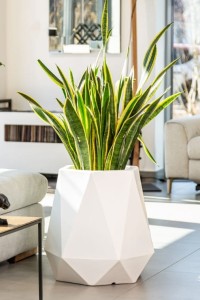 Geometryczna nowoczesna donica Monumo Flavi biała z wewnętrzną półką H:54