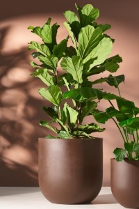 Donica duża ogrodowa Primo 70 cm corten effect Monumo pełna pojemność