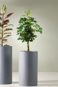 Donica Alto 65 cm na taras szara z wewnętrzną półką Monumo