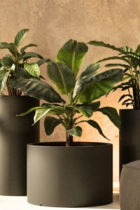 Donica duża tarasowa Cavo 60x40 cm antracyt Monumo pełna pojemność