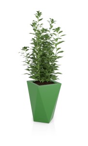 Geometryczna donica Monumo Vaso limonka pełna pojemność  H:59