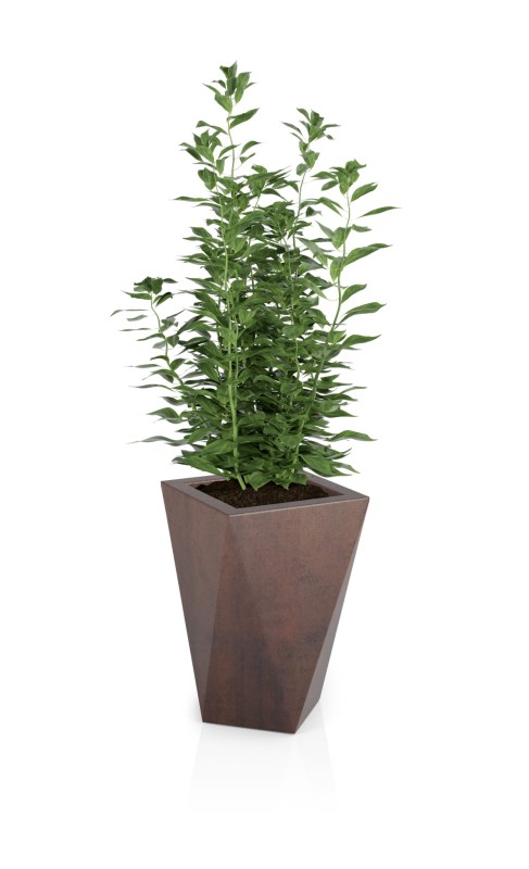 Donica tarasowa nowoczesna 59 cm efekt corten | Vaso z półką | Monumo