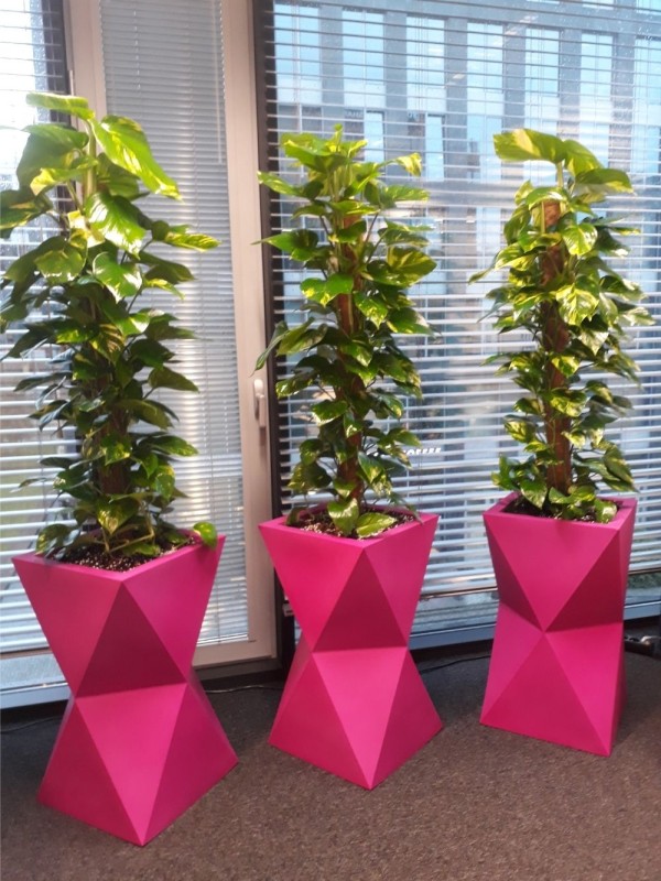 Wysoka donica na taras Valencia pełna 70 cm różowa | Monumo