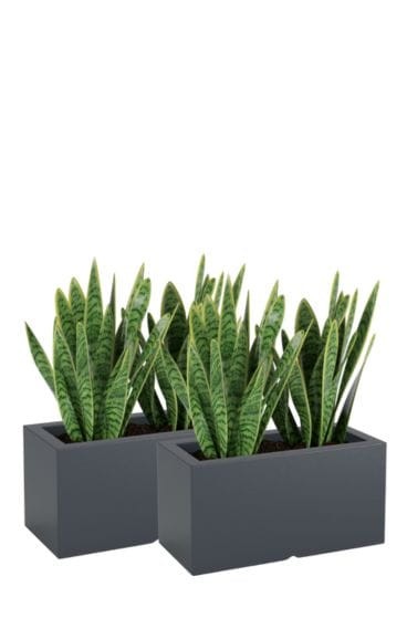 Zestaw 2 donic prostokątnych tarasowych antracytowych | Lungo z półką | Monumo