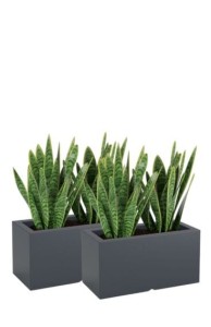 Zestaw 2 donic prostokątnych tarasowych antracytowych | Lungo pełne | Monumo