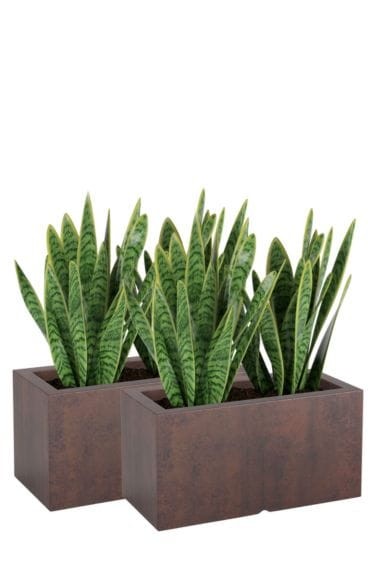 Zestaw 2 donic prostokątnych tarasowych efekt corten | Lungo pełne | Monumo