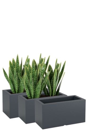 Zestaw 3 donic prostokątnych tarasowych antracytowych | Lungo z półką | Monumo