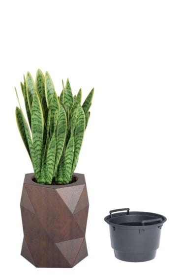 Donica tarasowa geometryczna designerska 54 cm efekt corten z wyjmowanym wkładem | Modena | Monumo