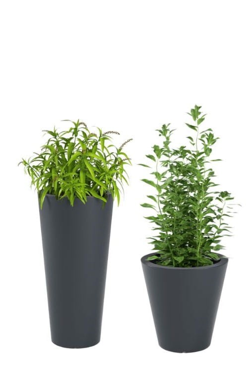 Komplet 2 okrągłych donic ogrodowych antracytowych 80 cm i 50 cm | Habana i Ovo pełne | Monumo