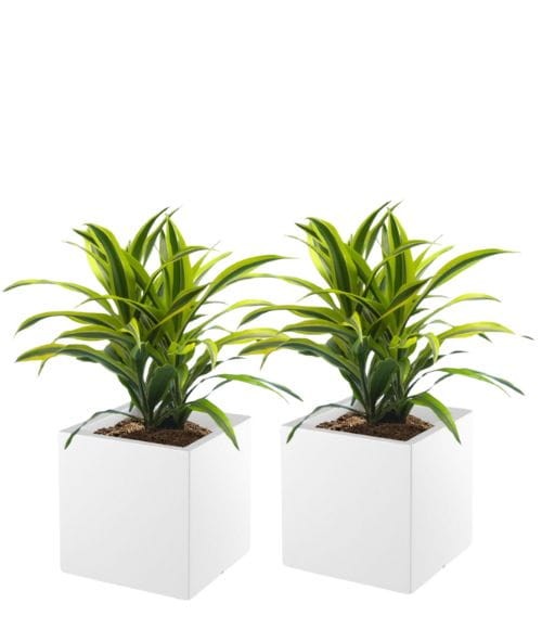 Zestaw 2 donic kwadratowych na taras Pixel Pot pełne 40 cm (40x40x40) białe | Monumo