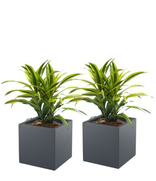 Zestaw 2 donic kwadratowych na taras Pixel Pot pełne 40 cm (40x40x40) antracytowe | Monumo