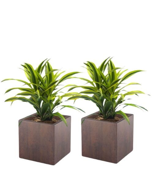 Zestaw 2 donic kwadratowych na taras Pixel Pot pełne 40 cm (40x40x40) efekt corten | Monumo