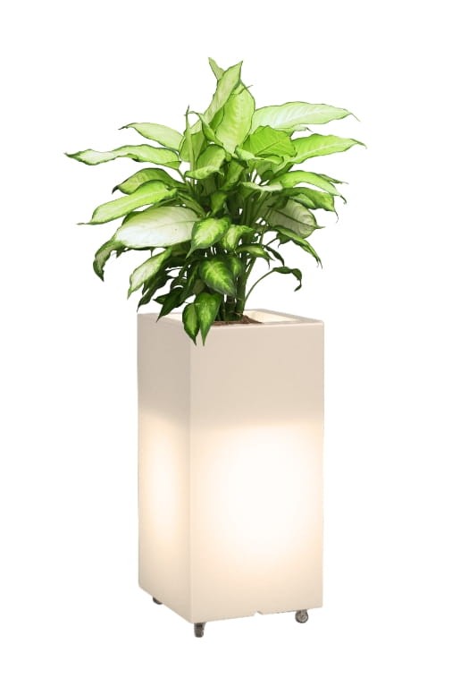 Wysoka donica na kółkach podświetlana Monumo Tower Pot Light barwa ciepła H:70