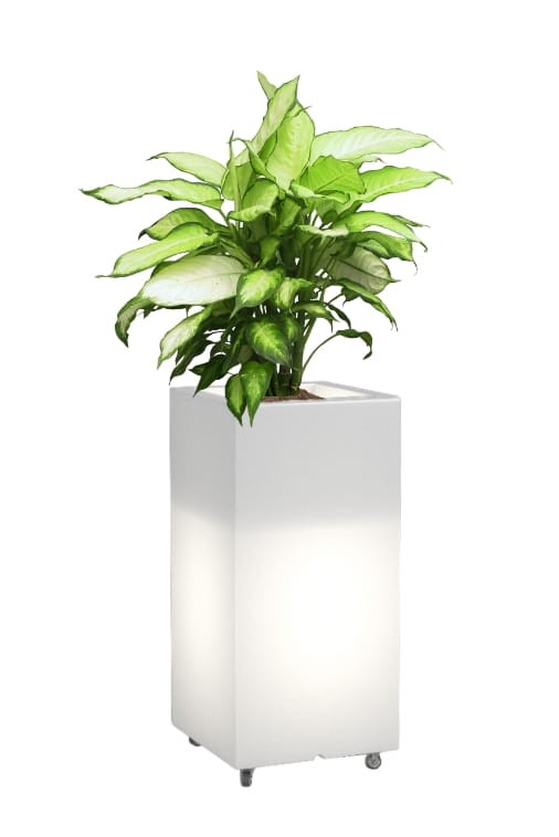 Wysoka donica na kółkach podświetlana Monumo Tower Pot Light barwa neutralna H:70