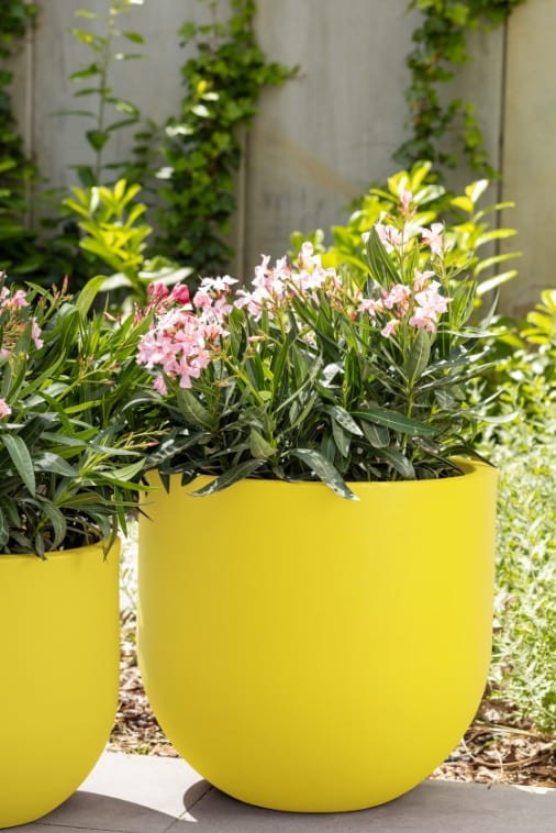 Donica okrągła na taras Primo 50 cm żółta z wkładem | Monumo