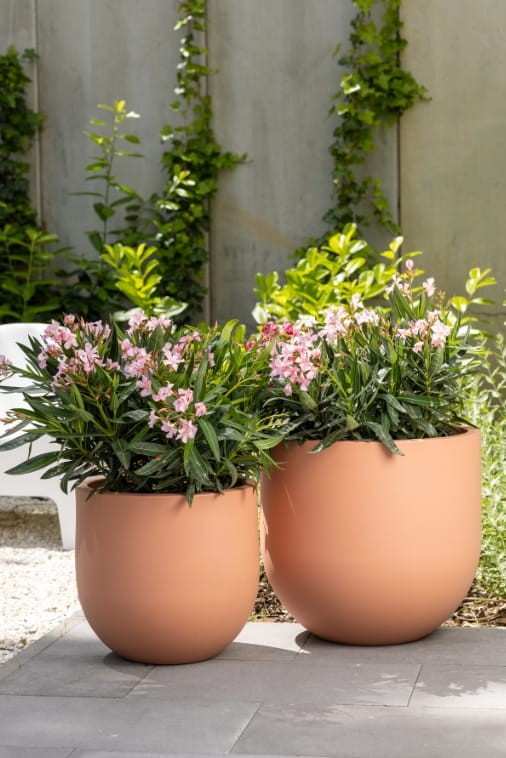 Zestaw donic ogrodowych 40 i 50 cm brzoskwiniowe – 2 szt. | Primo | Monumo