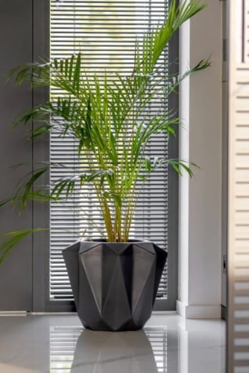 Nowoczesna donica ogrodowa na taras 38 cm czarna | Plaro pełna | Monumo