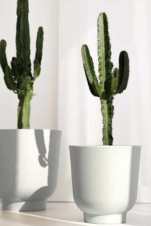 Donica do salonu okrągła 36 cm biała | Stevio z półką | Monumo