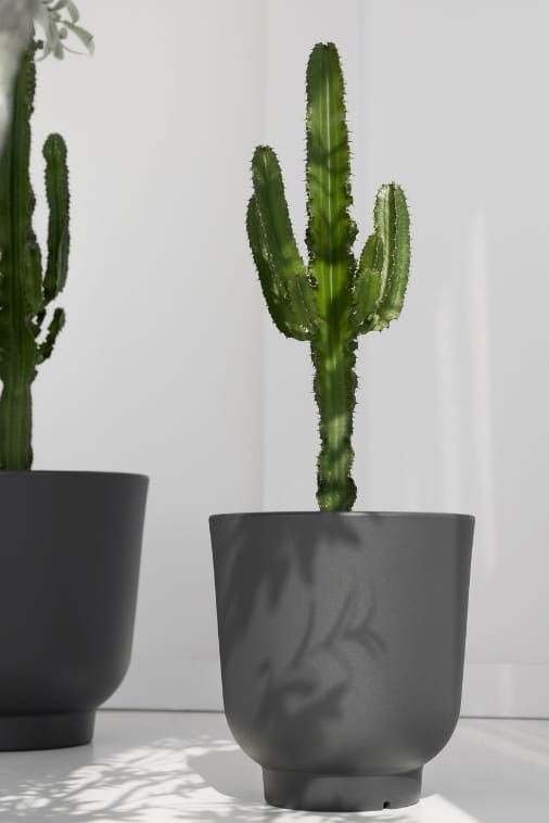 Donica do salonu okrągła 36 cm antracytowa | Stevio z półką | Monumo