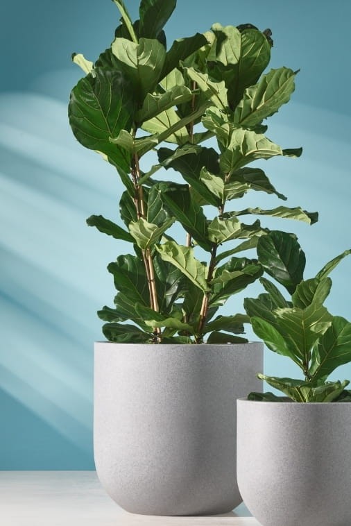 Duża donica okrągła na taras Primo 70 cm mrozoodporna pełna efekt kamienia | Monumo