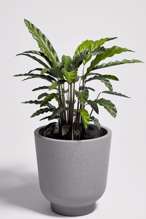 Donica tarasowa okrągła 45 cm efekt kamienia | Stevio z półką | Monumo