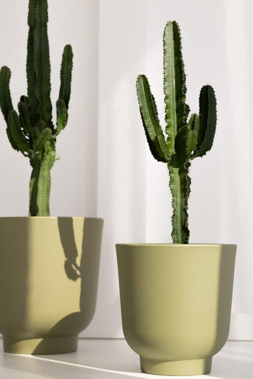 Donica do salonu okrągła 36 cm oliwkowa | Stevio z półką | Monumo