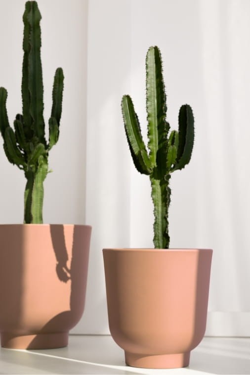 Donica do salonu okrągła 36 cm brzoskwiniowa | Stevio z półką | Monumo