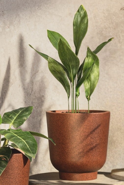 Donica tarasowa okrągła 45 cm efekt rdzy | Stevio z półką | Monumo