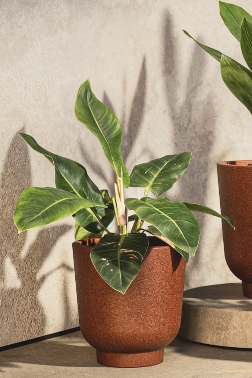 Donica do salonu okrągła 36 cm efekt rdzy | Stevio z półką | Monumo