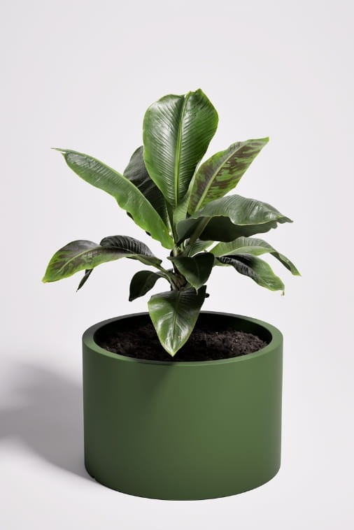 Duża donica ogrodowa okrągła 60 cm butelkowa zieleń | Cavo pełna | Monumo