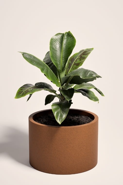 Duża donica ogrodowa okrągła 60 cm efekt rdzy | Cavo pełna | Monumo