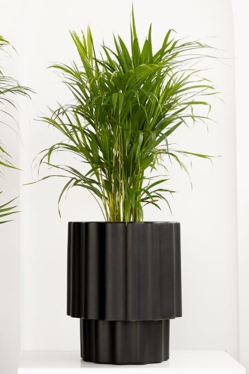 Donica ryflowana ogrodowa 45 cm czarna | Ribbo z półką | Monumo