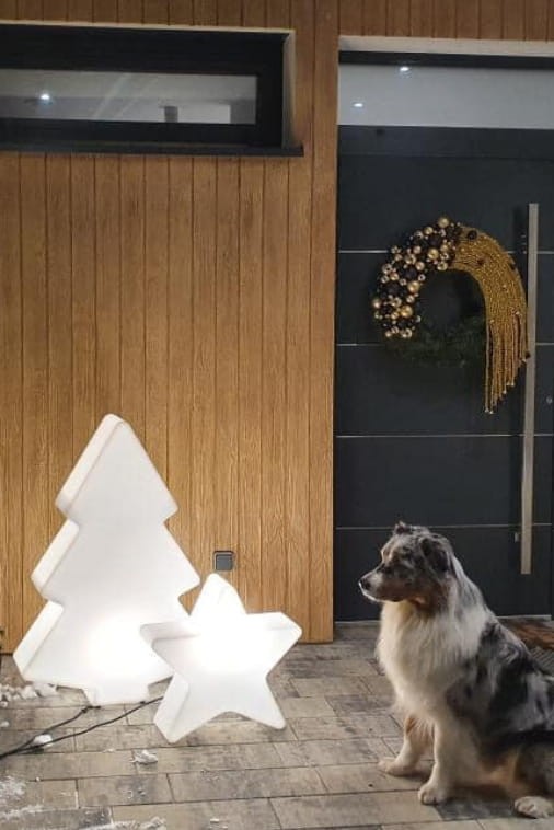 Zestaw Świąteczny LED Monumo Choinka podświetlana H:100 & Gwiazda podświetlana H:50 barwa neutralna