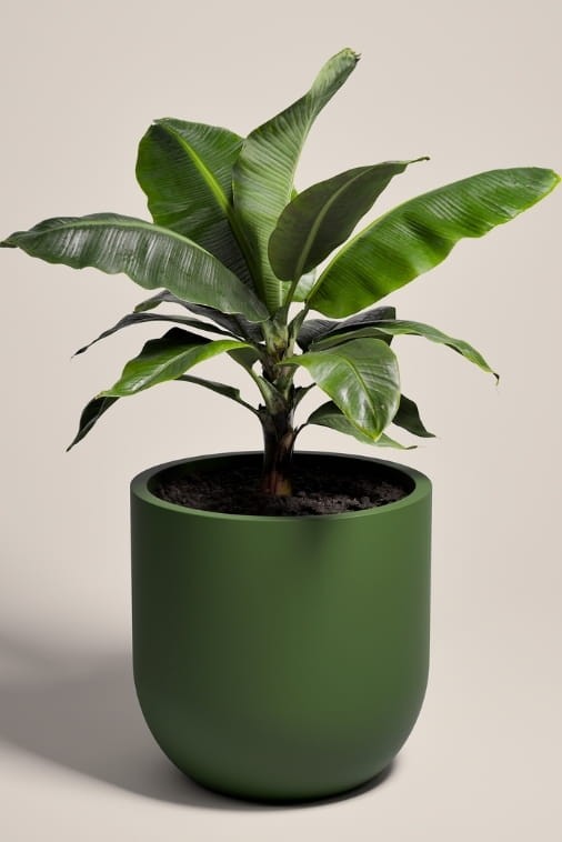 Duża donica okrągła na taras Primo 70 cm mrozoodporna pełna butelkowa zieleń | Monumo