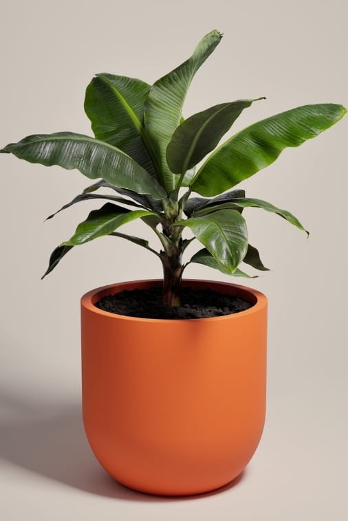 Duża donica okrągła na taras Primo 70 cm mrozoodporna pełna pomarańczowa | Monumo