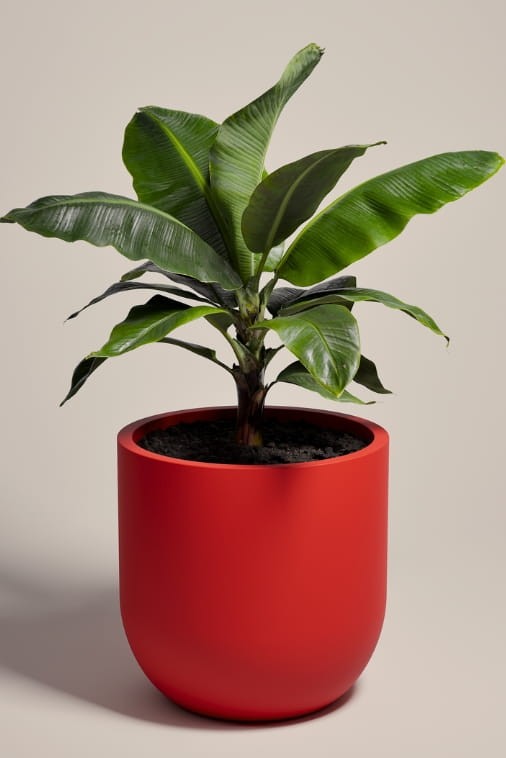 Duża donica okrągła na taras Primo 70 cm mrozoodporna pełna czerwona | Monumo