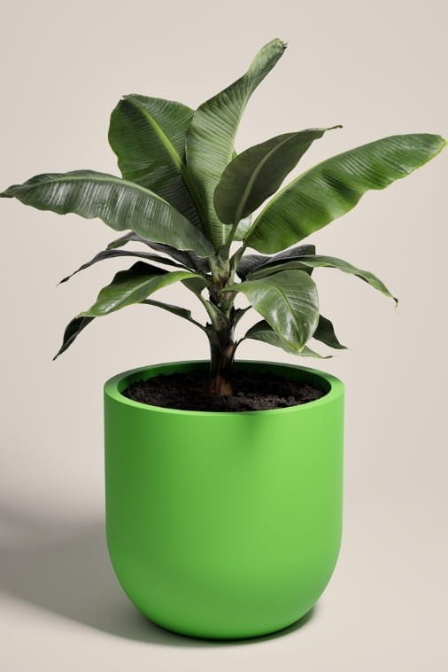 Duża donica okrągła na taras Primo 70 cm mrozoodporna pełna limonkowa | Monumo