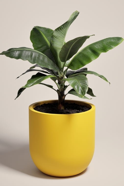 Duża donica okrągła na taras Primo 70 cm mrozoodporna pełna żółta | Monumo