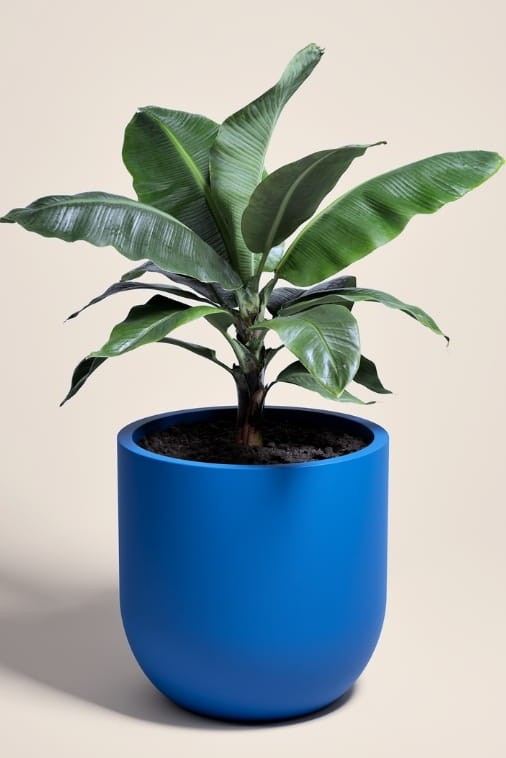 Duża donica okrągła na taras Primo 70 cm mrozoodporna pełna niebieska | Monumo