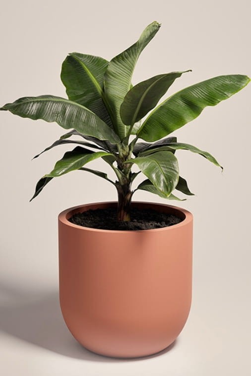 Duża donica okrągła na taras Primo 70 cm mrozoodporna pełna brzoskwiniowa | Monumo