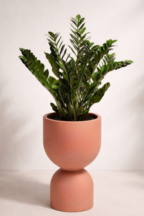 Donica ogrodowa wysoka kielichowa 65 cm brzoskwiniowa | Kielich z półką | Monumo