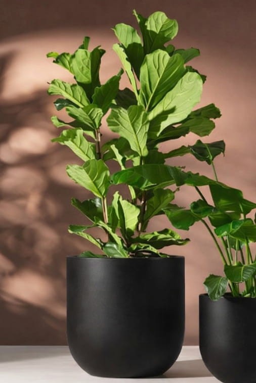 Duża donica okrągła na taras Primo 70 cm mrozoodporna pełna czarna | Monumo